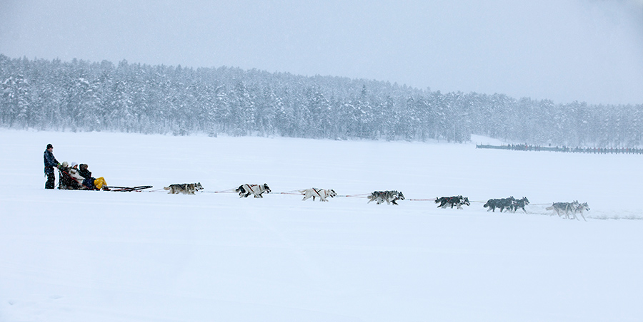 laponie/_MG_5324 .jpg